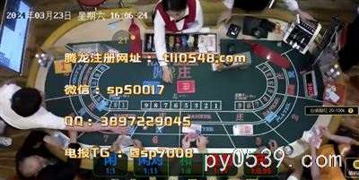 腾龙国际：解锁澳门赌场的秘密宝藏！🗝️💰
