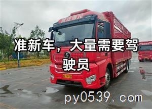 招聘6.8高栏驾驶员